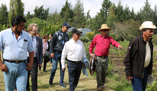 La Universidad Central del Ecuador construirá centro para investigación del Colibrí