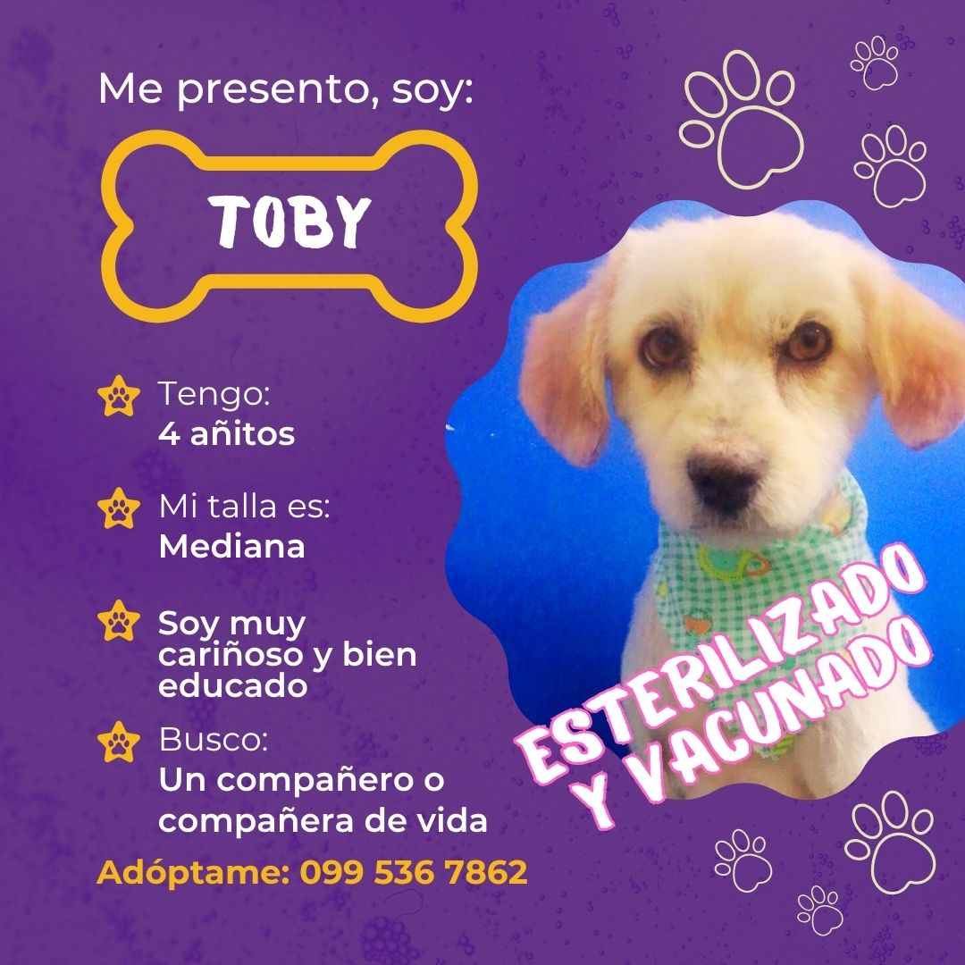 TOBY