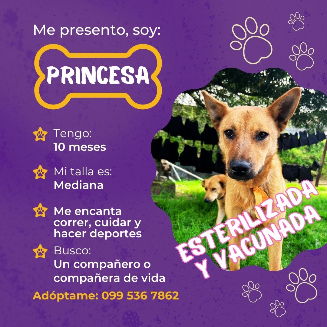 PRINCESA