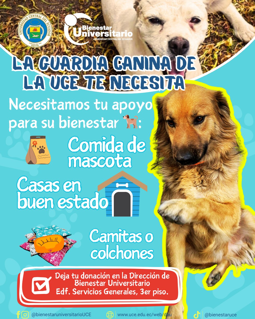DONACIONES