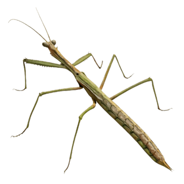 Informe de docencia 2025-2025